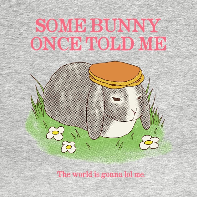 Somebunny Once Told Me by Hillary White Rabbit